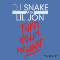 DJ Snake & Lil Jon - Turn Down for What artwork