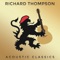 Beeswing - Richard Thompson lyrics
