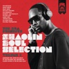 The Rza Presents Shaolin Soul Selection: Vol. 1 artwork