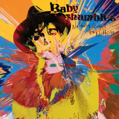 Nothing Comes To Nothing - Single - Babyshambles