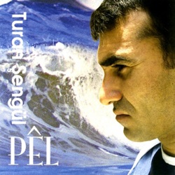 Turan Şengül - Martı