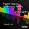 Spektrum (Club Concept) - Angelo Raguso & Francesco Ferraro lyrics