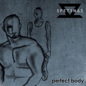 That Perfect Body (Radio Edit) artwork