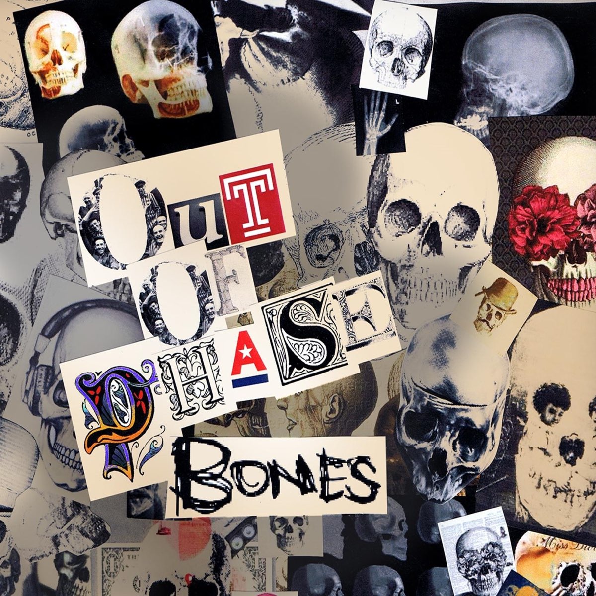 Bones обложки