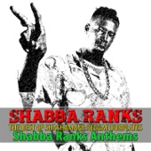 The Best of Shashamane Reggae Dubplates (Shabba Ranks Anthems) - EP artwork
