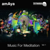 Music for Meditation Vol 1 Trypnaural artwork