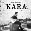 Kara - Single, 2013