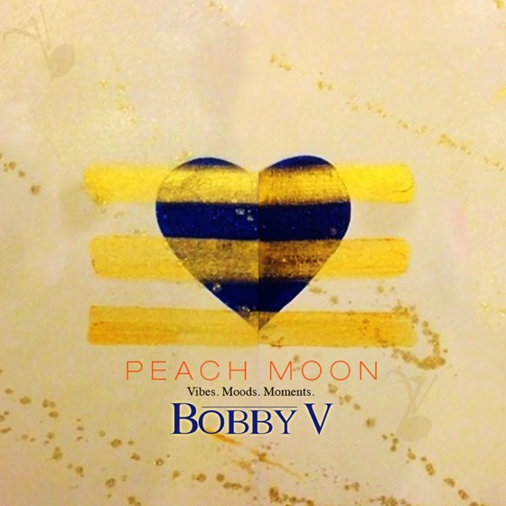 Cover artwork for Never Give Up