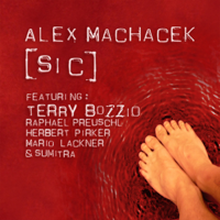 Alex Machacek - [ Sic ] artwork