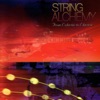 String Alchemy: From Eclectic to Electric, 2007