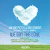 Stream & download We Got the Love (feat. Theory & Sarah C) - EP