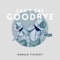 Can't Say Goodbye (Ghosting Season Remix) - Morgan Visconti lyrics