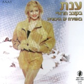 בקצב הראי artwork