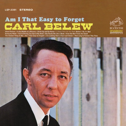 Art for Am I That Easy To Forget by Carl Belew