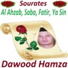 Dawood Hamza - Sourate Fatir