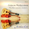 Andalucía Chill - Guitarras Mediterráneas / Mediterranean Guitars - Vol. 2