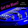 Got the Blues? (Delta Blues in the Key of a) [for Bass Players] - Single album lyrics, reviews, download