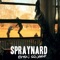 Can I Borrow a Feeling - Spraynard lyrics