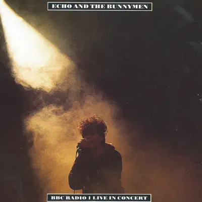Live In Concert - Echo & The Bunnymen