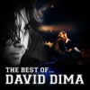 The Best of David Dima