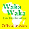 Waka Waka (This Time for Africa) [Tribute to Shakira] - Single album lyrics, reviews, download