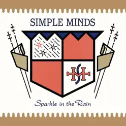 Sparkle in the Rain - Simple Minds