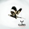 All or Nothing - The Clarks lyrics
