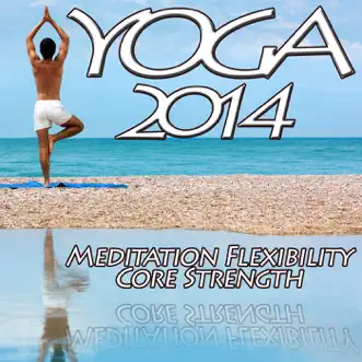 Yoga 2014 - Meditation Flexibility Core Strength of Mind Body Fitness Chilled Relaxation to Chillout Yoga by Various Artists album reviews, ratings, credits