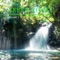 Timbales Rhythm - Carlos Estella lyrics
