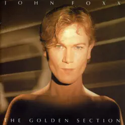 The Golden Section...Plus - John Foxx