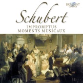 Moments musicaux, D. 780: No. 3 in F Minor (Allegretto moderato) artwork