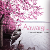 Aawargi... Greatest Romantic Ghazals - Various Artists