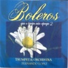 Boleros Que o Tempo Não Apaga, Vol. 2