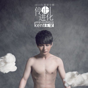 停止进化 cover