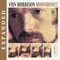 Moondance - Van Morrison lyrics