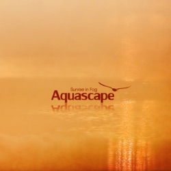 Aquascape - Following to the Light