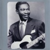 Classic Masters: B.B. King artwork