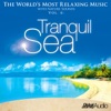 The World's Most Relaxing Music with Nature Sounds, Vol. 6: Tranquil Sea