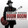 Boom Boom - John Lee Hooker