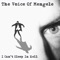 True Love - The Voice Of Mengele lyrics