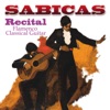 Recital - Flamenco Classical Guitar