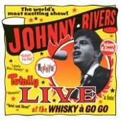 Johnny B. Goode (Live) artwork
