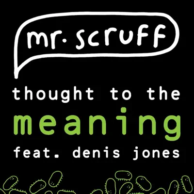 Thought To the Meaning (feat. Denis Jones) - Single - Mr. Scruff