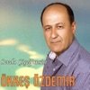 Ökkeş Özdemir - Yalan Dünya