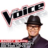 What You Won’t Do For Love (The Voice Performance) - Single artwork