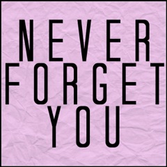 Never Forget You (Originally Performed By MNEK & Zara Larsson) [Karaoke Version]