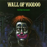 Wall of Voodoo - Far Side of Crazy