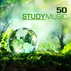 Relaxing Study Music with Electric Guitar and Sounds of Nature Song Lyrics
