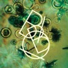 Bibio - The Spinney View of Hinkley Point