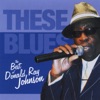 These Blues the Best of Donald Ray Johnson
